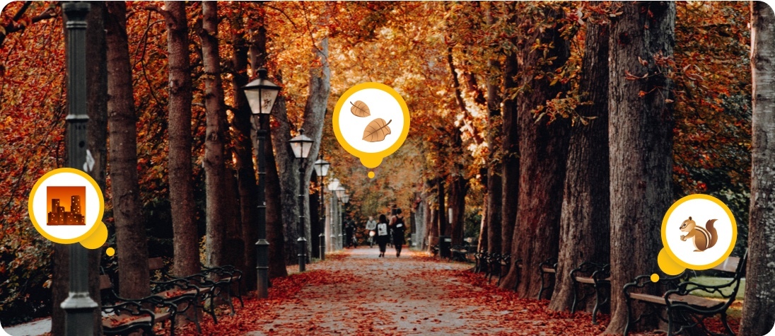 Top 8 Places to See Autumn Foliage Around the World