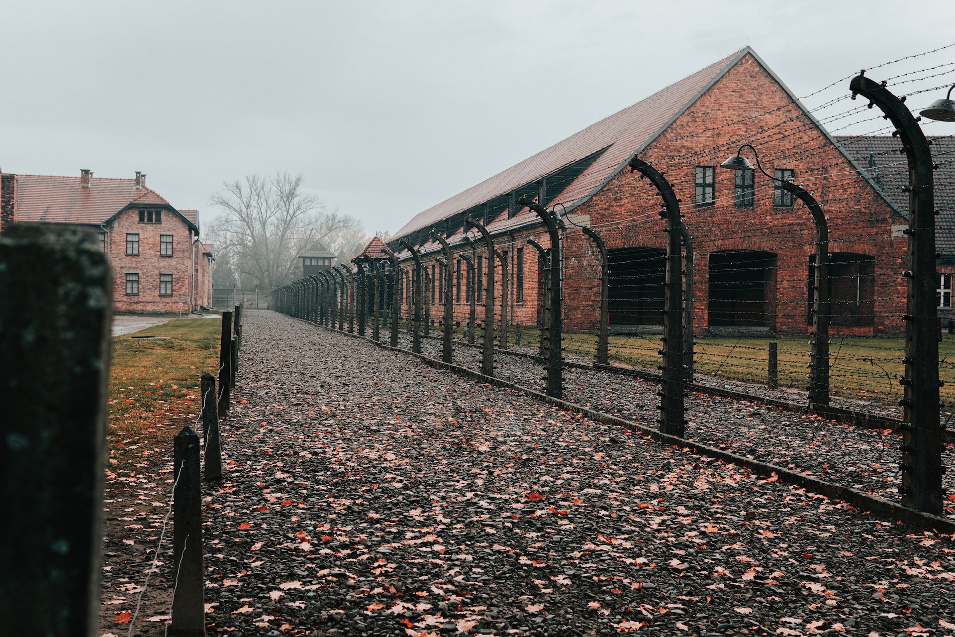 Auschwitz-Birkenau, Poland