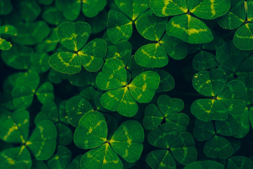st patrick's day 2023