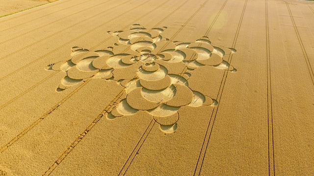 What are crop cicles?