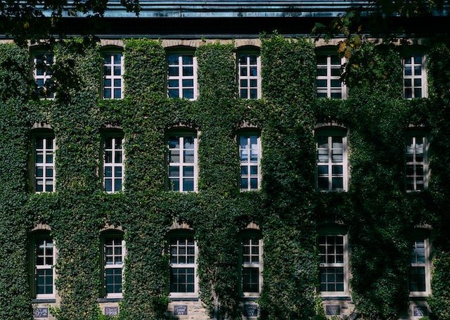 What are the ivy league schools