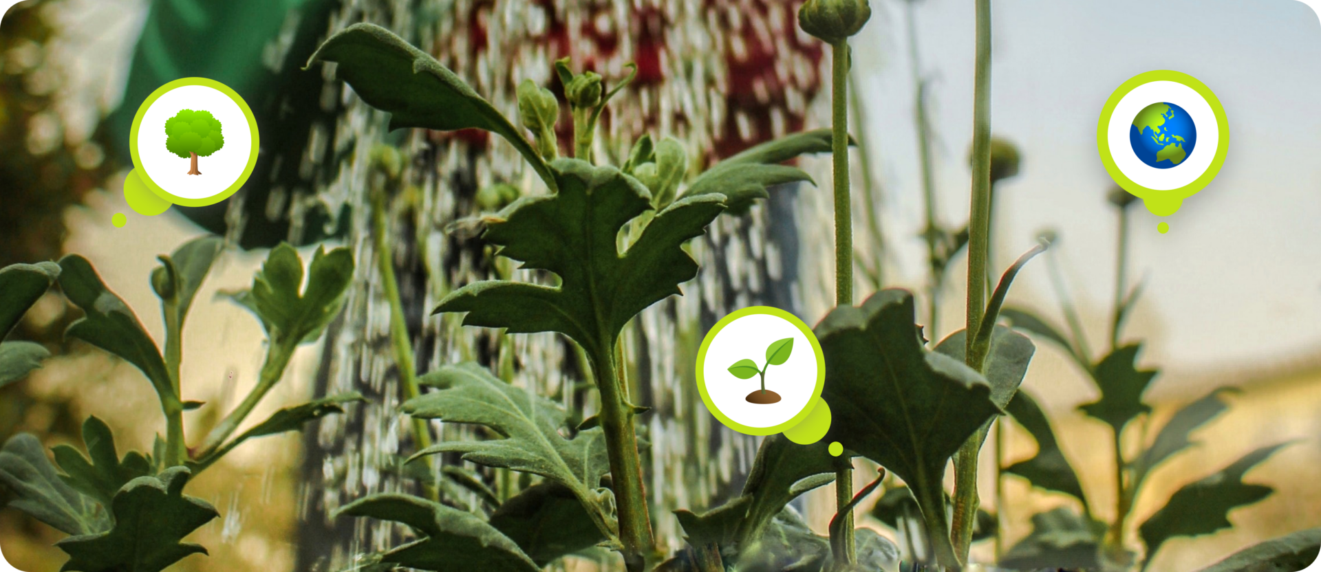 Earth Day 2023: How to Celebrate Earth Day?