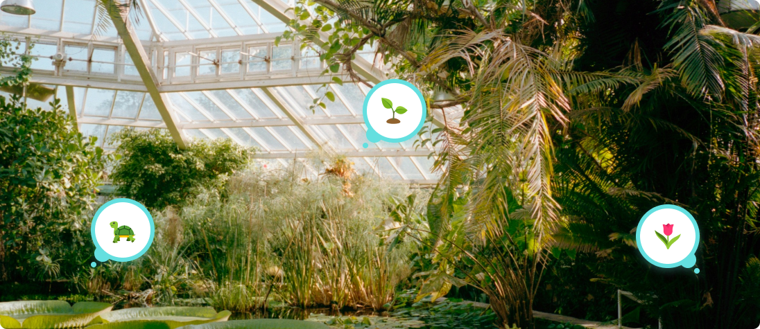 6 Most Beautiful Gardens and Must-Visit Botanical Wonders in the World