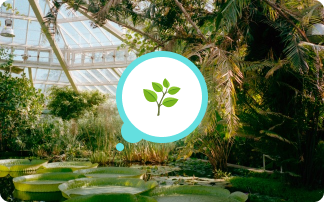 6 Most Beautiful Gardens and Must-Visit Botanical Wonders in the World