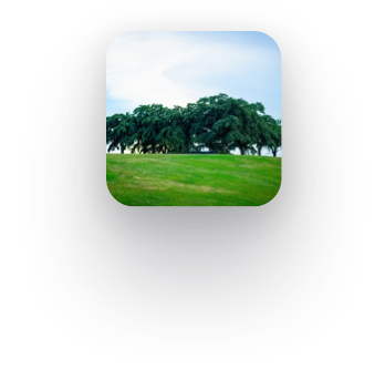 YouMap Slider 1 Icon6
