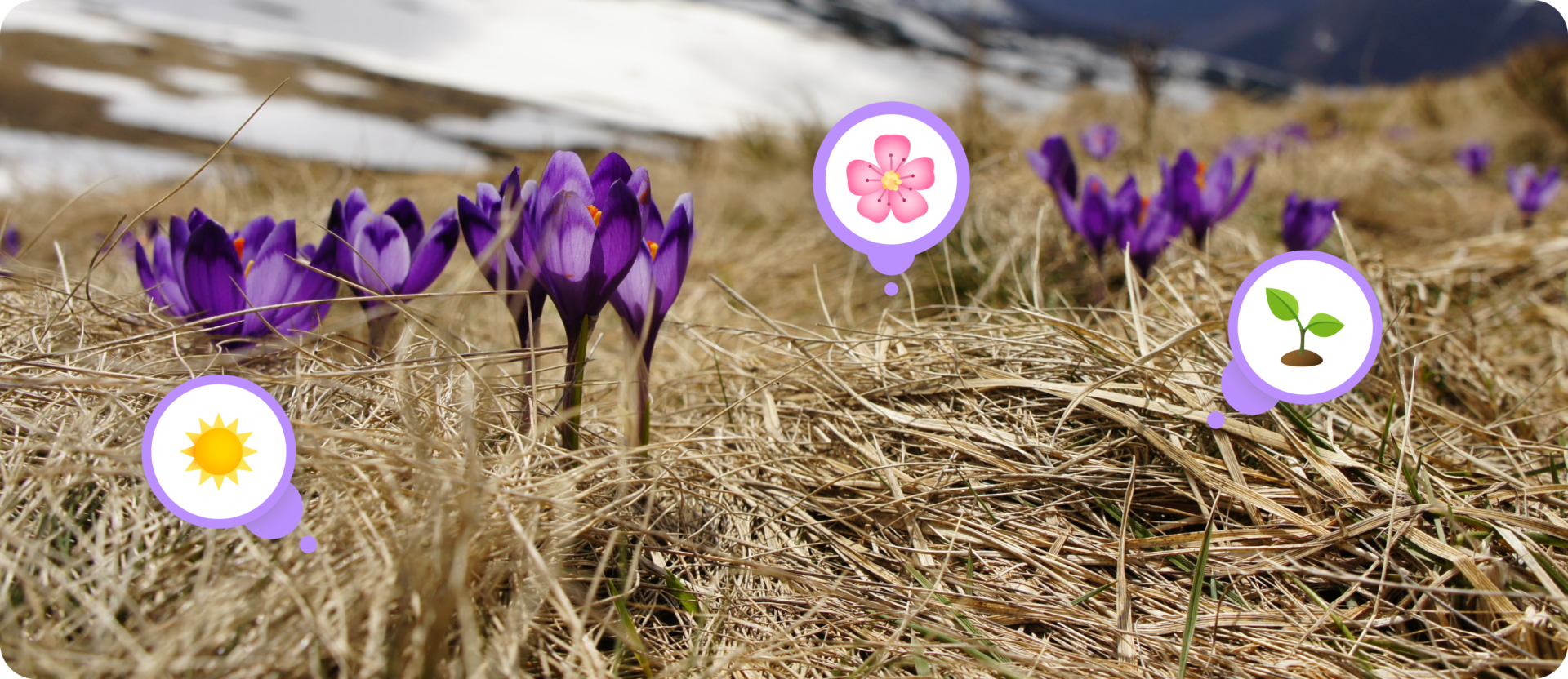 Spring Bucket List: 8 Fun Activities & Things to Do