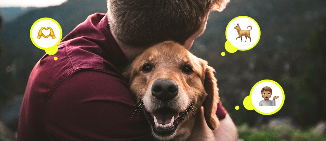 Volunteering With Animals: How to Find Volunteer Opportunities to Help Animals?