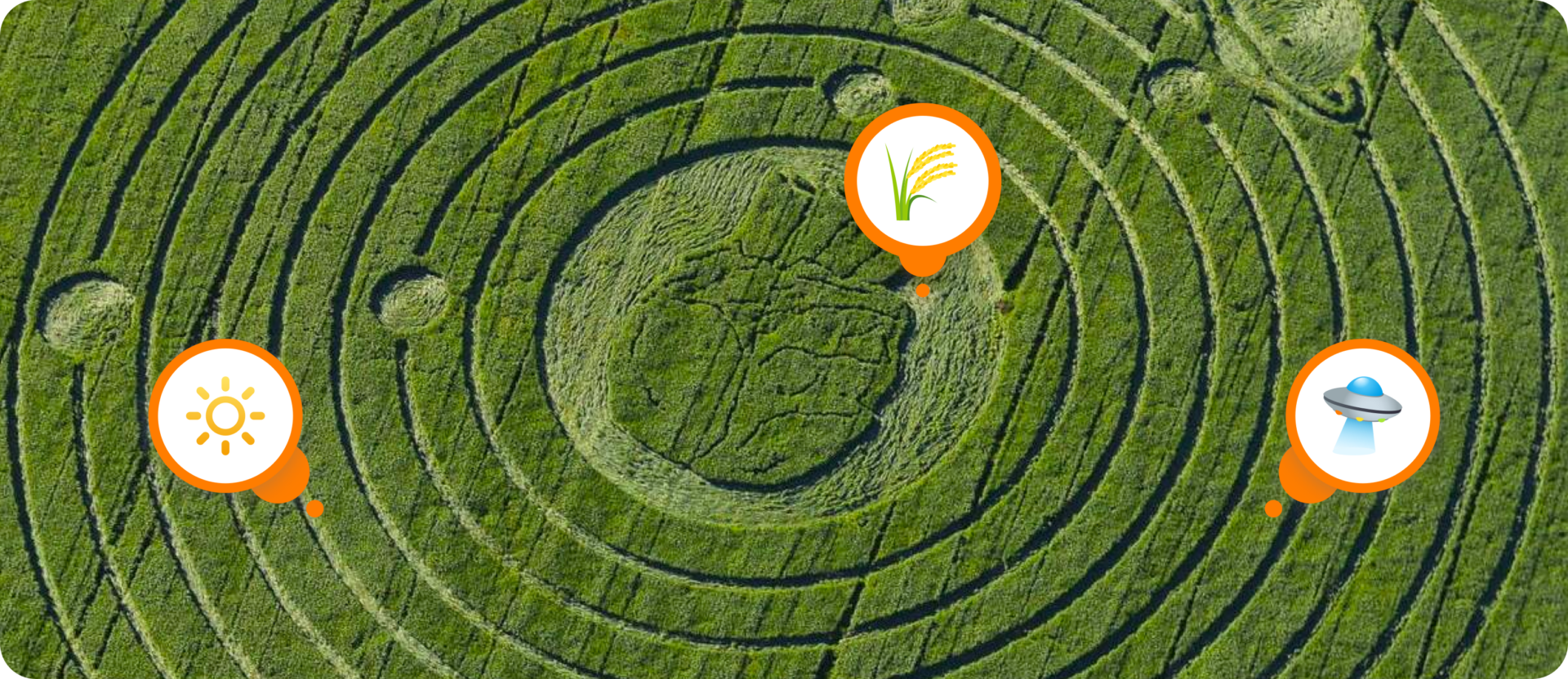 What Are Crop Circles?